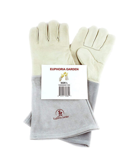 Winter Coat with Hat