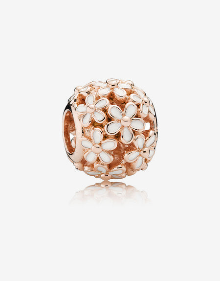 Winter Coat with Hat