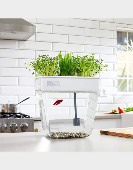 Winter Coat with Hat