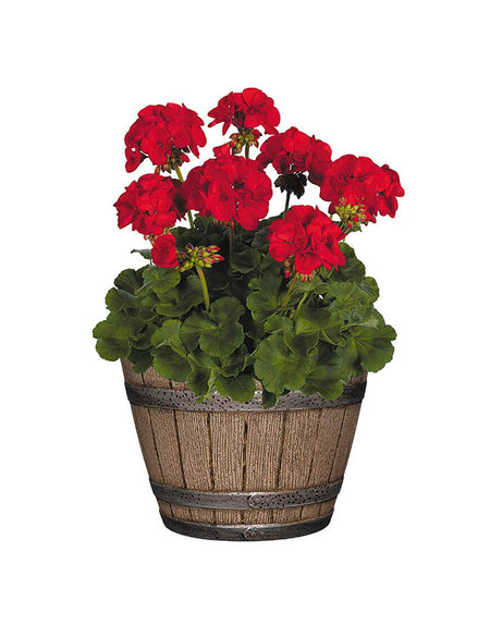 Winter Coat with Hat