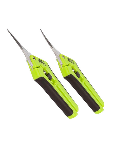 Winter Coat with Hat