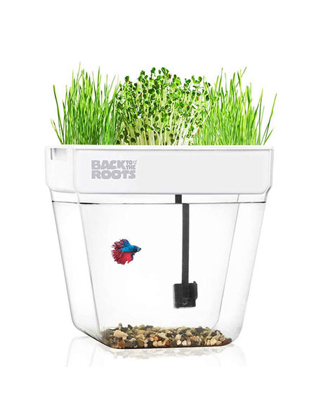 Winter Coat with Hat